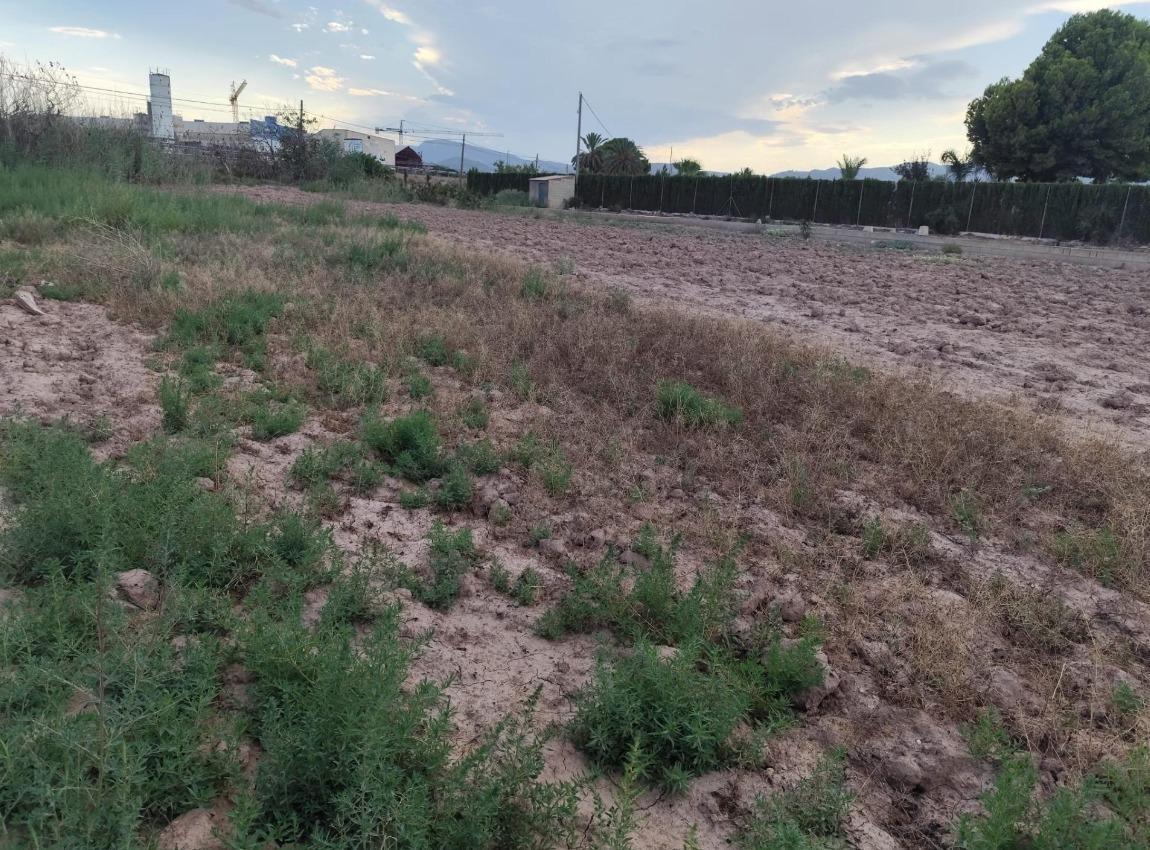 Terreno rural